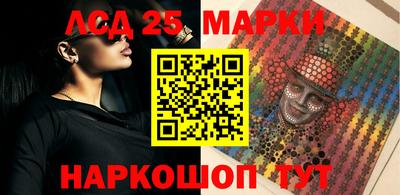 крисы Аргун