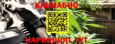 крисы Аргун