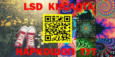 крисы Аргун