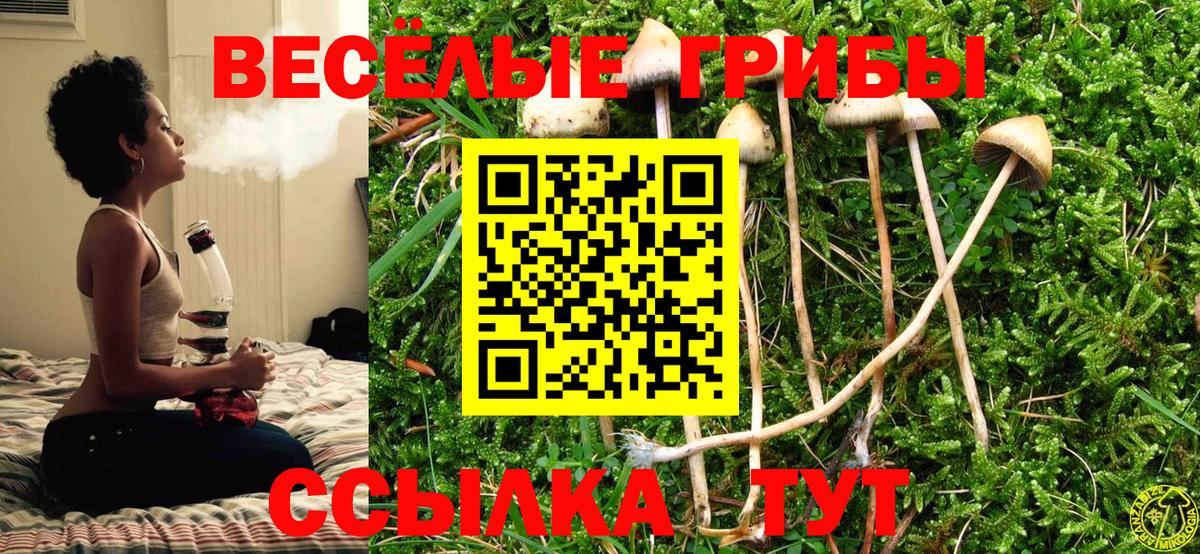 Балабаново  Галлюциногенные грибы Psilocybe  Галлюциногенные грибы Cubensis  Вход с VPN 