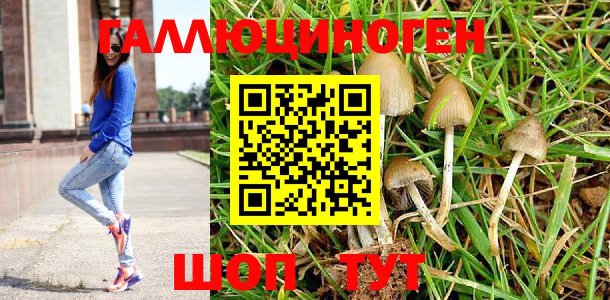 Псилоцибиновые грибы мухоморы Балабаново